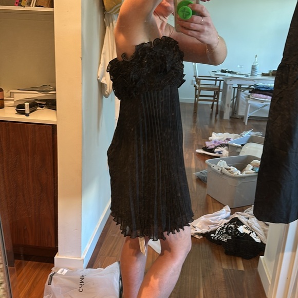 NWT Rosetta Dress - Picture 6 of 8